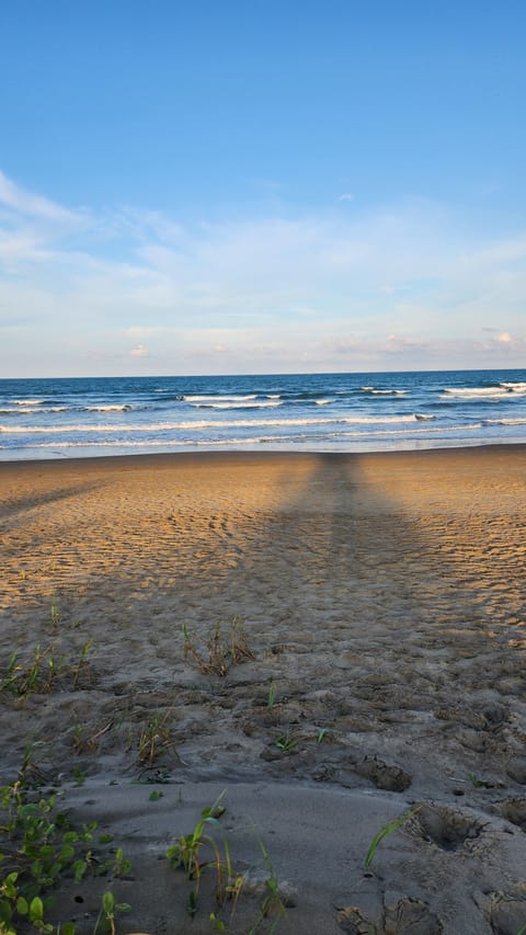 On the beach