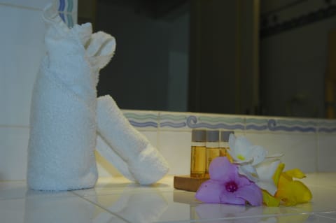 Traditional Apartment, 1 Bedroom, Terrace, Sea View | Bathroom | Shower, free toiletries, hair dryer, towels