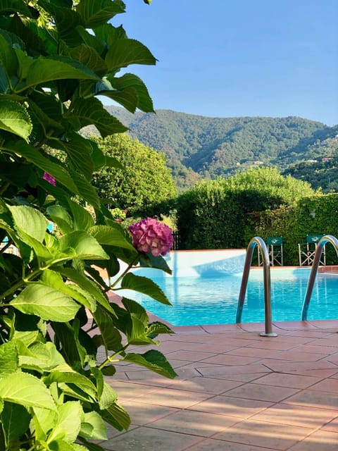 Seasonal outdoor pool, open 8:00 AM to 8:00 PM, sun loungers