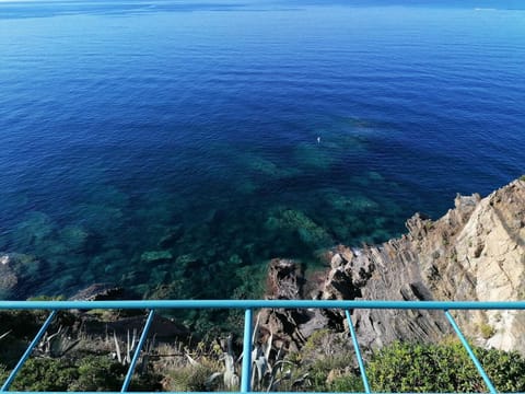 Executive Suite | View from room