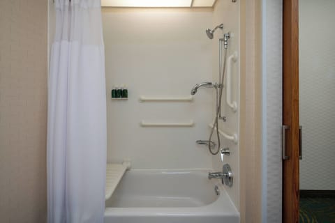 Combined shower/tub, free toiletries, hair dryer, towels