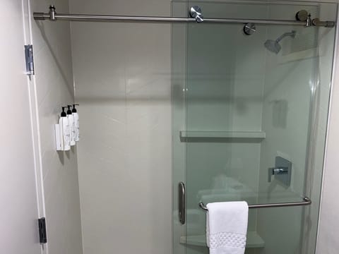 Combined shower/tub, free toiletries, hair dryer, towels