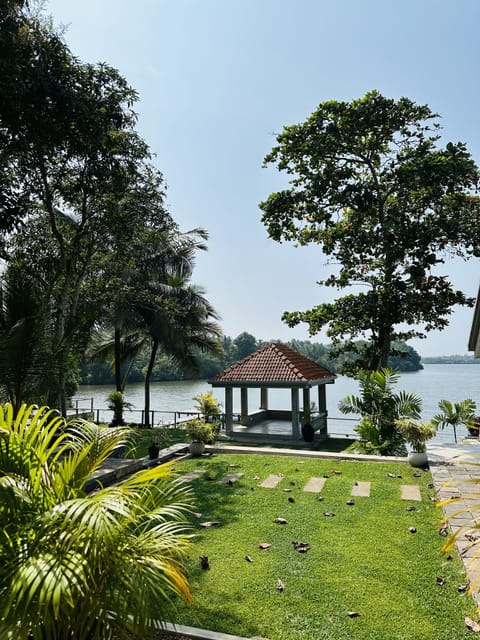 Lake view