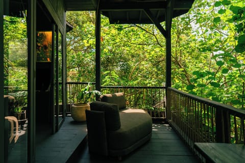 Luxury Tree House | View from room