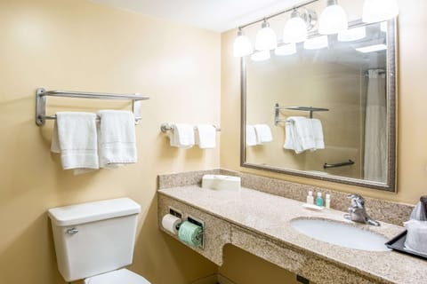 Room, 1 King Bed, Accessible, Non Smoking (Efficiency) | Bathroom | Combined shower/tub, free toiletries, hair dryer, towels