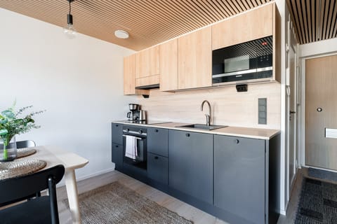 Premium Apartment | Private kitchen | Full-size fridge, microwave, oven, stovetop