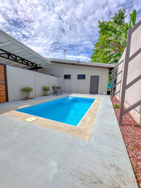 Outdoor pool, sun loungers