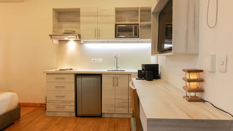 Standard Studio Suite | Private kitchen