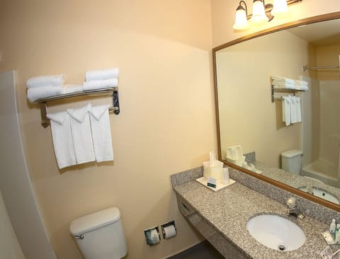 Combined shower/tub, deep soaking tub, free toiletries, hair dryer