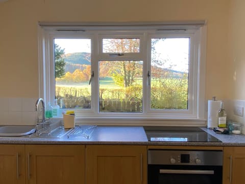 Chalet | Private kitchen | Fridge, microwave, oven, stovetop