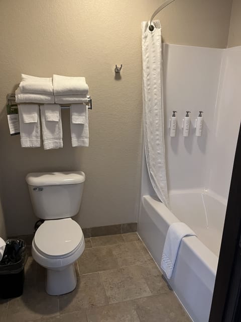 Combined shower/tub, free toiletries, hair dryer, towels