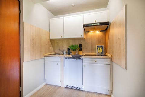 Classic Apartment | Private kitchen | Fridge, stovetop, coffee/tea maker, toaster