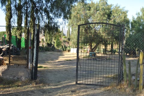 Free extended parking