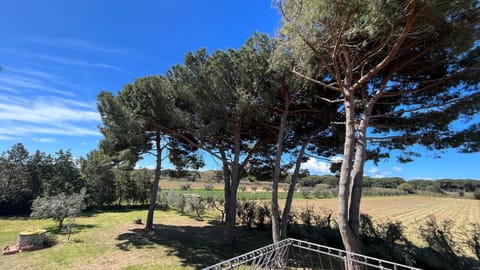 Villa | Property grounds