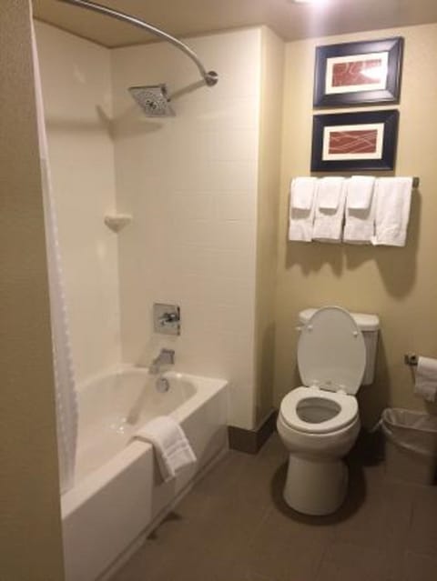 Combined shower/tub, free toiletries, hair dryer, towels