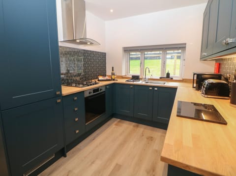 Fridge, dishwasher, electric kettle, toaster