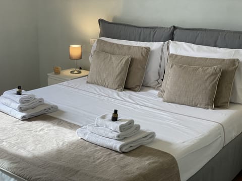 Deluxe Double Room | Down comforters, desk, free WiFi, bed sheets