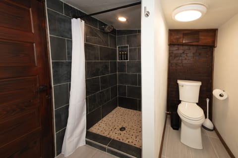 Premier Suite | Bathroom | Shower, rainfall showerhead, free toiletries, hair dryer