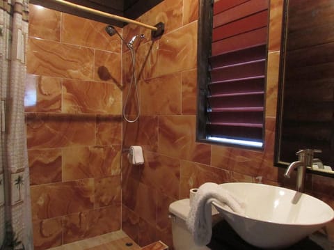 Panoramic Double Room, 1 Bedroom, River View, Overwater | Bathroom | Shower, hair dryer, towels