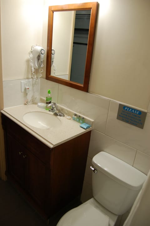 Combined shower/tub, deep soaking tub, free toiletries, hair dryer