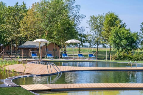 Seasonal outdoor pool, pool umbrellas, sun loungers