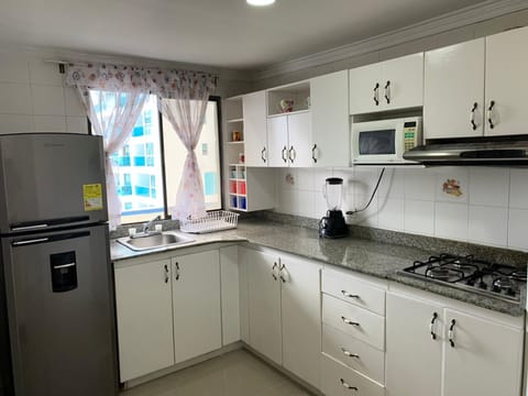 Basic Apartment | Private kitchenette | Fridge, microwave, blender, cookware/dishes/utensils