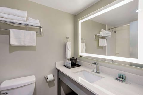 Standard Room, 1 King Bed, Non Smoking, Refrigerator & Microwave | Bathroom | Free toiletries, hair dryer, towels