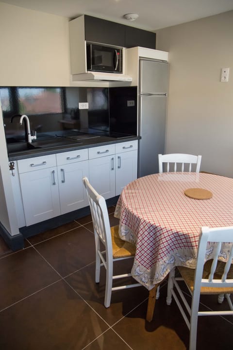 Premium Apartment | Private kitchen | Microwave, stovetop, electric kettle, toaster