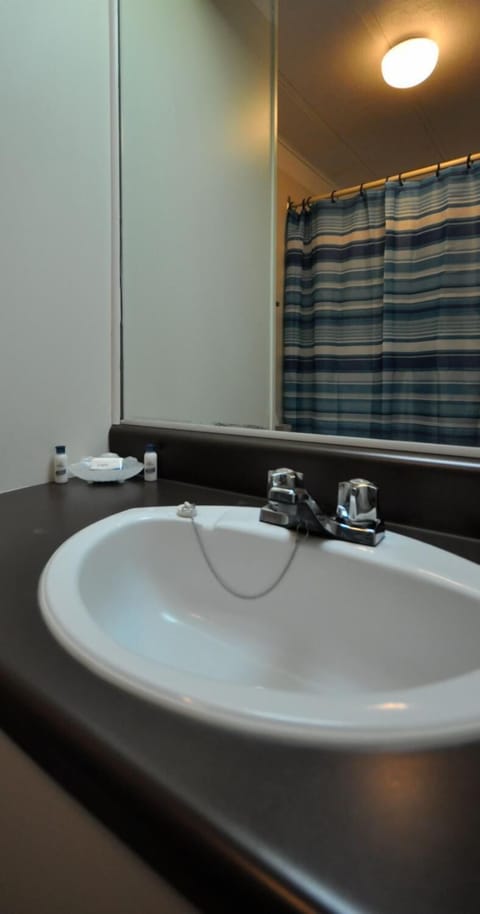 Combined shower/tub, free toiletries, hair dryer, towels