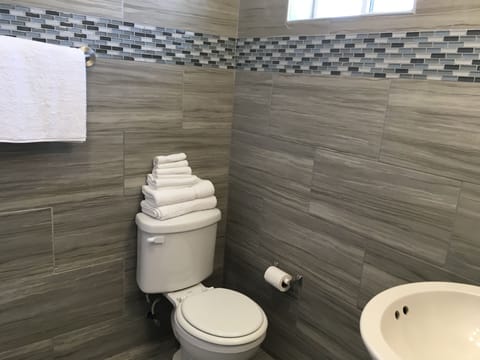 Combined shower/tub, free toiletries, hair dryer, towels