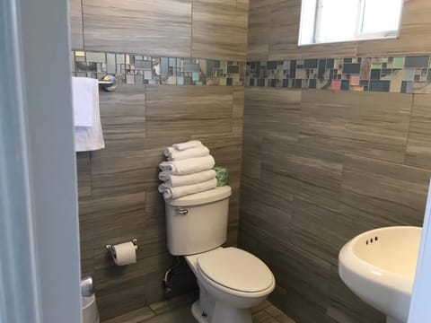 Combined shower/tub, free toiletries, hair dryer, towels