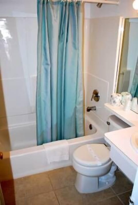 Combined shower/tub, free toiletries, hair dryer, towels