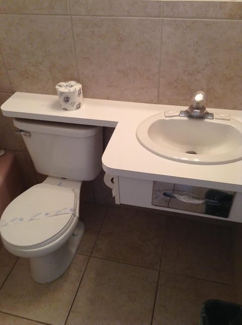 Combined shower/tub, free toiletries, hair dryer, towels