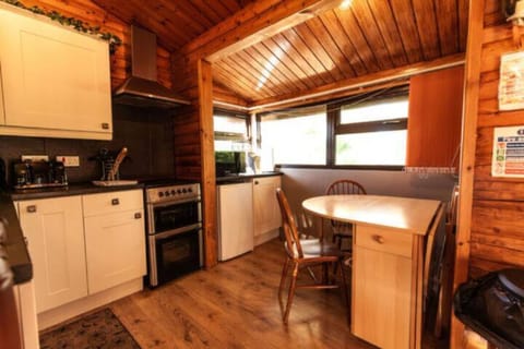 Comfort Cabin | Private kitchen | Full-size fridge, microwave, oven, stovetop