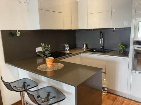 Luxury Apartment | Private kitchen | Full-size fridge, microwave, oven, stovetop