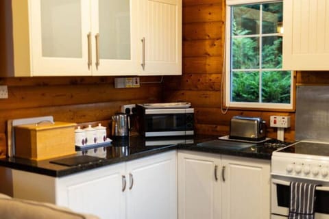 Comfort Cabin | Private kitchen | Full-size fridge, microwave, oven, electric kettle