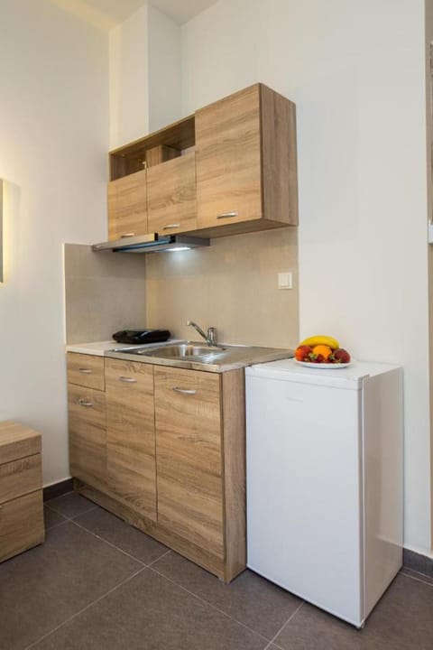 Studio | Private kitchen | Fridge, microwave, oven, stovetop