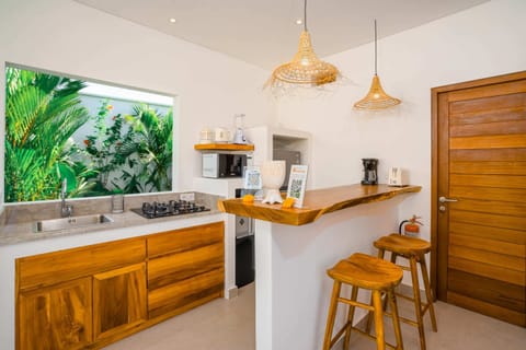 Basic Villa | Private kitchen | Fridge, microwave, stovetop, toaster