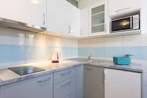 City Studio, Non Smoking | Private kitchen | Fridge, microwave, stovetop, electric kettle