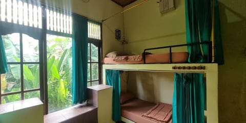 Classic Shared Dormitory | View from room