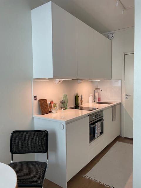 Basic Apartment, City View | Private kitchen | Fridge, microwave, oven, stovetop