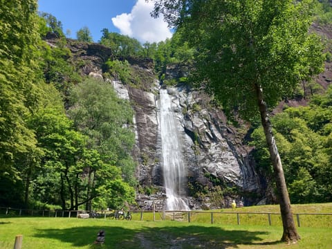 Room, 4 Bedrooms, Balcony, Garden View | View from property