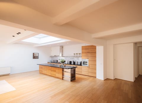 Luxury Duplex | Private kitchen | Fridge, microwave, oven, dishwasher