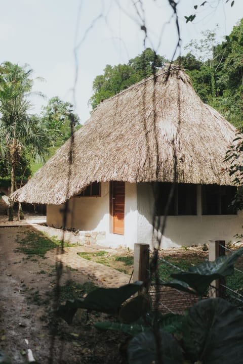 Signature Tree House, 1 King Bed, Non Smoking, Garden View