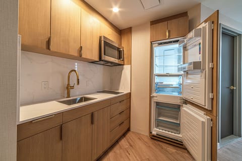 Panoramic Room | Private kitchen | Full-size fridge, microwave, stovetop, espresso maker