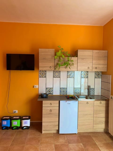 Panoramic Condo, Kitchenette, Mountain View | Private kitchen | Stovetop, electric kettle, cookware/dishes/utensils