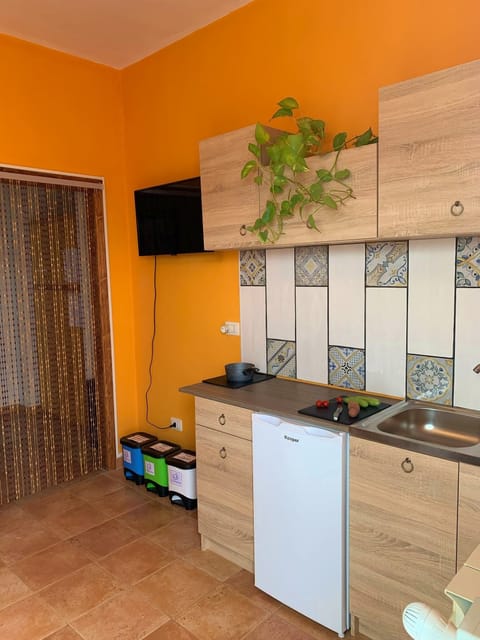 Panoramic Condo, Kitchenette, Mountain View | Private kitchen | Stovetop, electric kettle, cookware/dishes/utensils