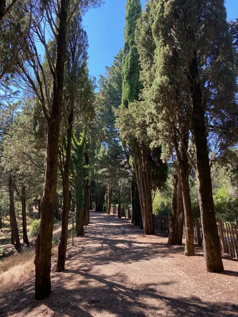 Land view from property