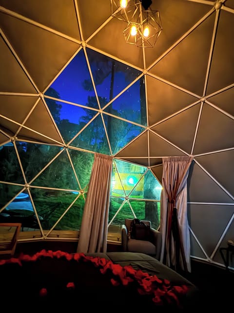 Deluxe Cabin, 1 King Bed (Domo XL) | Premium bedding, down comforters, individually decorated