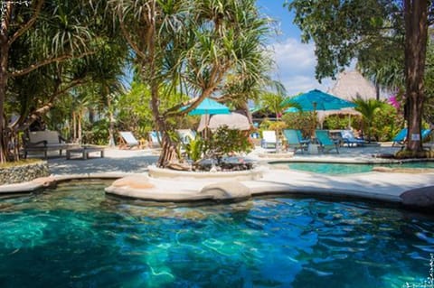 Outdoor pool, sun loungers